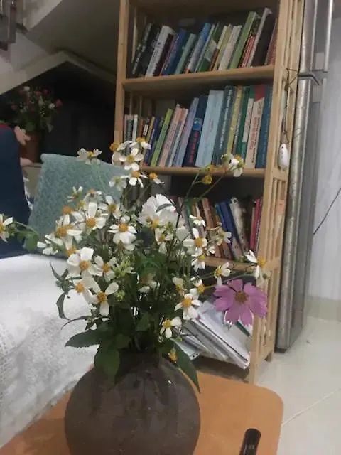Lu Peaceful Homestay Đà Nẵng