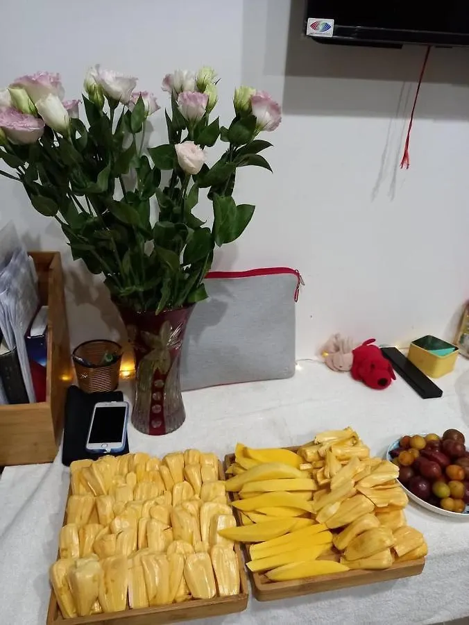Lu Peaceful Homestay Da Nang